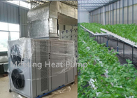 Greenhouse Planting Commercial Heat Pump Air To Water Automatical Control Heating System