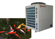 Air to water heat pump swimming pool water heaters for fish pond