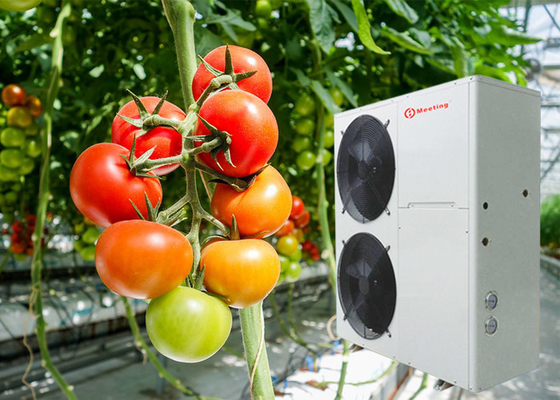 Farm Air To Water Heat Pump System Heating For Tomato Planting Greenhouse