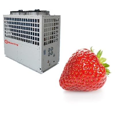 29KW Large Glass Agricultural Electric Greenhouse Heater For Better Growth Of Strawberry Tomato Seed