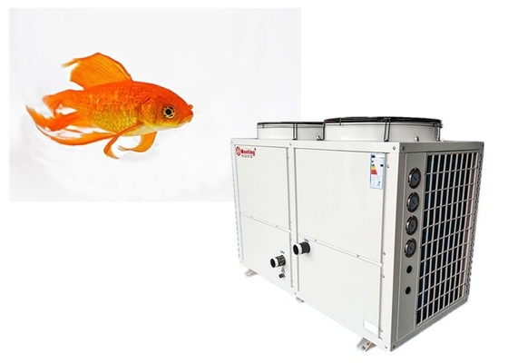 Meeting Constant Temperature Electric Air Source Heat Pump Control System For Environment - Friendly Fish Farms