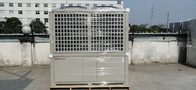 Promotion High Temperature Air Source Heat Pump Top Blowing 20P Machine
