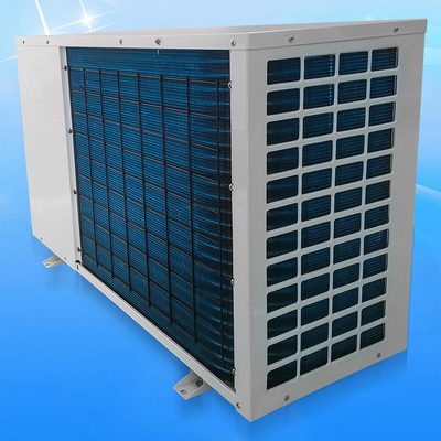 Meeting 12KW Swimming Pool Heat Pump Energy Saving Environmental Protection R32 High Temperature Bubble Pool 42 ℃